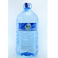 Gürpınar 19 LT Depozitosuz (Pet)